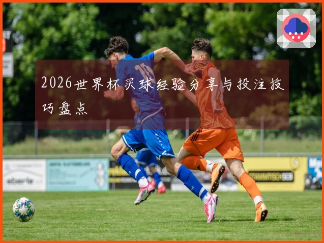 2026世界杯买球经验分享与投注技巧盘点