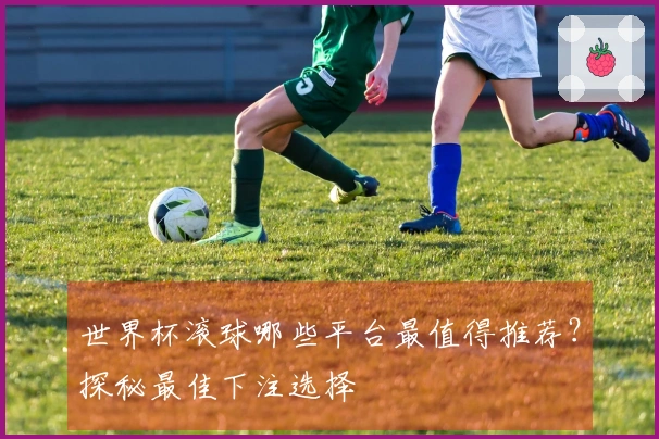 世界杯滚球哪些平台最值得推荐？探秘最佳下注选择