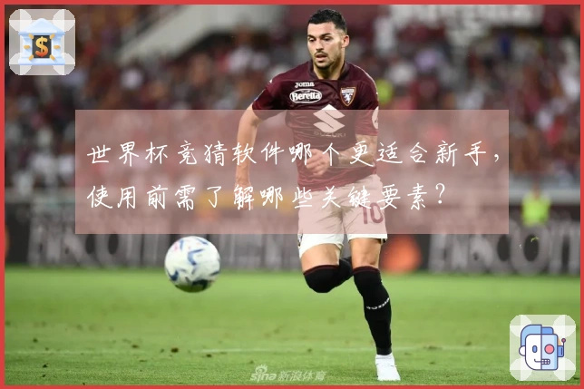 世界杯竞猜软件哪个更适合新手，使用前需了解哪些关键要素？