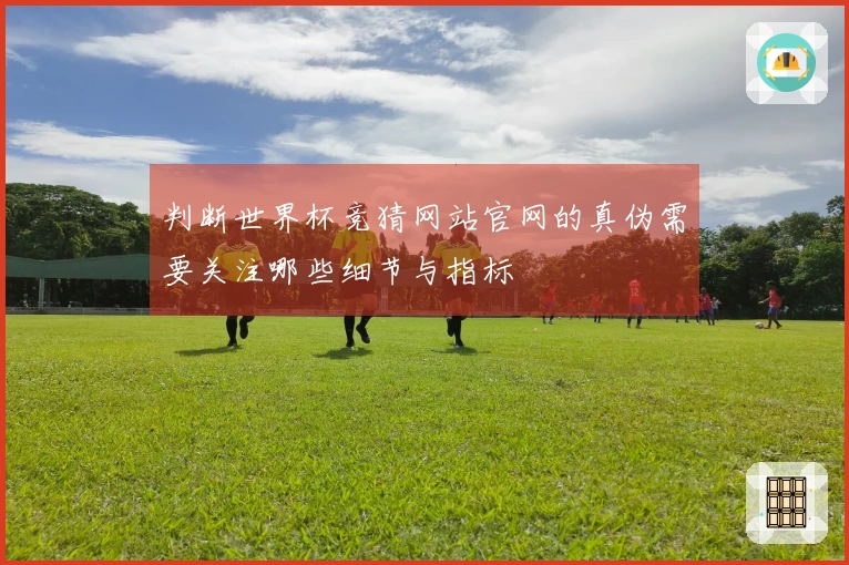 判断世界杯竞猜网站官网的真伪需要关注哪些细节与指标