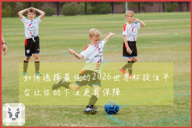 如何选择最佳的2026世界杯投注平台让你的下注更有保障